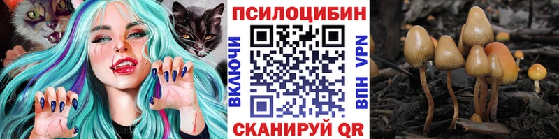 купить наркотики цена  Сибай  Галлюциногенные грибы Psilocybine cubensis 